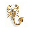 Scorpion Finger Ring in Gold