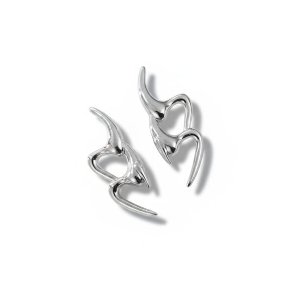 Anomaly Earrings in Silver