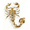 Scorpion Finger Ring in Gold