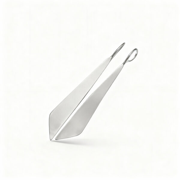 Silver Drop Earings