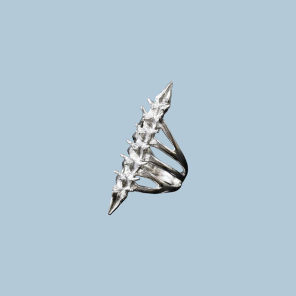 Spine cross chain + Spine Melee Ring